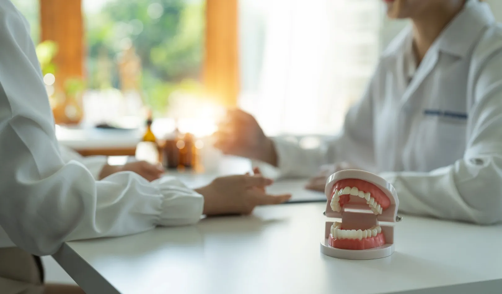 Dental model with teeth on a table during a consultation between two people wearing white coats.